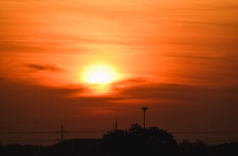 kak prodat sol za som cherez kivi